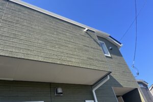 IMG_8585